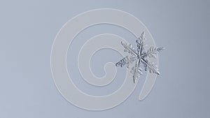 Beautiful snow flake on a light white background close up