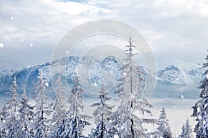 Beautiful snow landscape in the mountains. Winter beauty at Christmas.