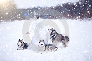 Beautiful snow queen with dogs