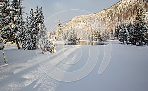 Beautiful snow scene in Yellowstone near Madison River