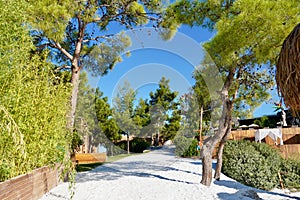 Beautiful snow-white beach surrounded by huge pines. Very atmospheric place. Luxury vacation in hotel Lujo in Turkey photo