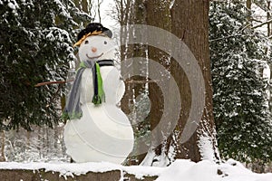 Beautiful snowman