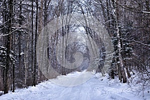 Beautiful snowy country road