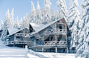 Beautiful snowy fir trees in frozen mountains landscape with house on north. Christmas background with tall spruce trees covered