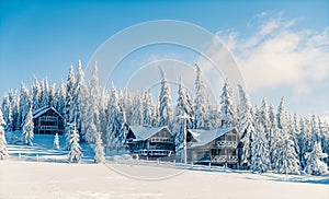 Beautiful snowy fir trees in frozen mountains landscape in sunset with house. Christmas background with tall spruce trees covered