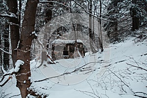 A snowy forest with a bunker in borderland. Orlicke hory, Czech republic photo