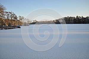 Frozen moorland lake with small tree-covered islands with long shadows on the snow on sunny winter day