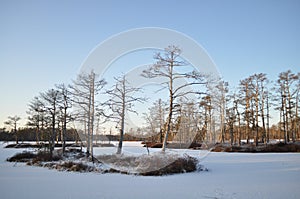 Frozen moorland lake with small tree-covered islands with long shadows on the snow on sunny winter day