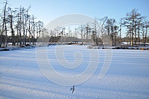 Frozen moorland lake with small tree-covered islands with long shadows on the snow on sunny winter day