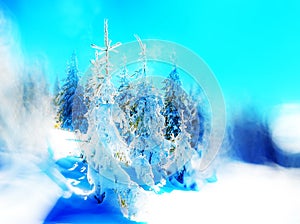 Beautiful snowy landscape and Blur effect. Blur background.