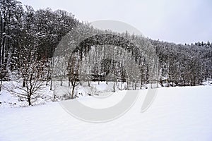 Beautiful snowy landscape. Winter nature - seasonal concept