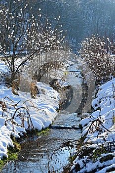 Beautiful snowy landscape. Winter nature - seasonal concept
