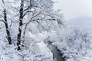 Beautiful snowy mountain forest and Afips river. Cloudy scenic winter landscape. West Caucasus