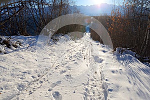 Beautiful snowy road to Zuruldi mount in Hatsvali, Upper Svaneti region of Georgia