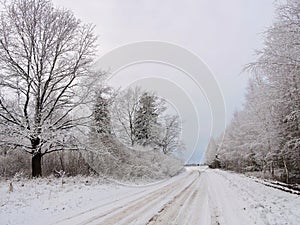 Beautiful snowy trees and road , Lithuania
