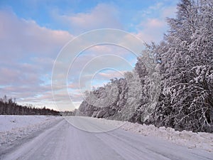 Beautiful snowy trees and road , Lithuania