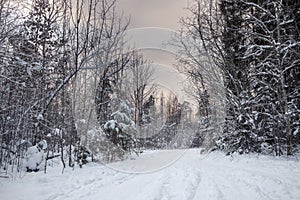 Beautiful snowy winter landscape panorama with sun.