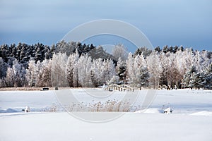 Beautiful snowy winter landscape, trees covered with frost