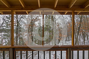 Beautiful snowy winter view of a Northwoods mixed forest deciduous and coniferous through a screened-in porch on a rustic cabin