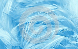 Beautiful Soft Blue Feathers Texture Vintage Background.