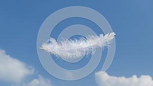 Beautiful Soft and Light White Fluffy Feathers Floating inThe Sky with Clouds