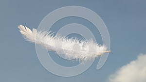 Beautiful Soft and Light White Fluffy Feathers Floating inThe Sky with Clouds