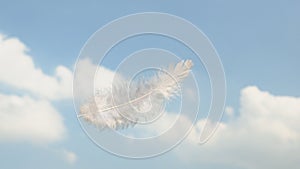 Beautiful Soft and Light White Fluffy Feathers Floating inThe Sky with Clouds