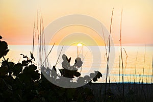 A beautiful soft pastel orange sunset at Manasota Beach in Englewood, Florida.