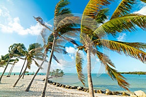 Beautiful Sombrero Beach in Florida Keys