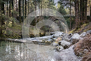 Beautiful source of kamniska bistrica, slovenia, with a bridge