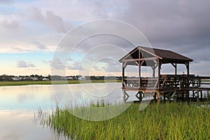 Beautiful South Carolina nature background.