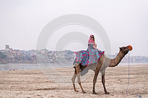 Beautiful south east asian girl in traditional Indian sari/saree on camel at Varanasi, India