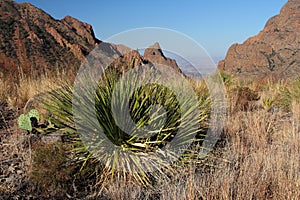 Beautiful Southwestern Landscape