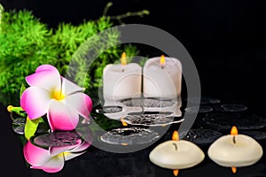 beautiful spa background of plumeria flower, green branch Asparagus with drops and candles on zen basalt stones in reflection