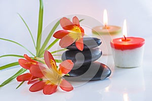 Beautiful spa compostion with black massage stones, red flowers