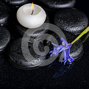 Beautiful spa concept of blooming iris flower, candle and black