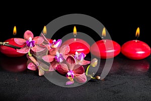 beautiful spa concept of blooming twig red orchid flower, phalaenopsis with water drops and row candles on black