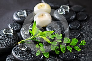 Beautiful spa concept of green twig fern, bamboo, ice and candl