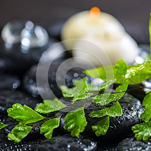 Beautiful spa concept of green twig fern, bamboo, ice and candle