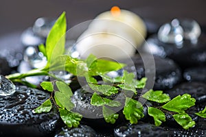 Beautiful spa concept of green twig fern, bamboo, ice and candle