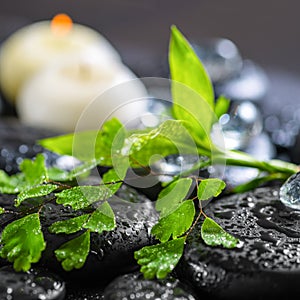 Beautiful spa concept of green twig fern, bamboo, ice and candle