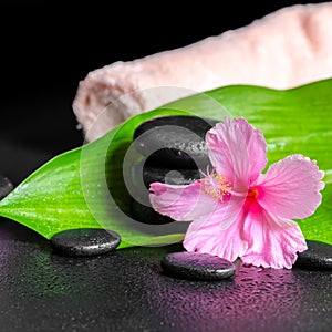 Beautiful spa concept of pink hibiscus flower, green leaf, candl