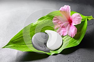 Beautiful spa concept of pink hibiscus flower and Yin-Yang of st