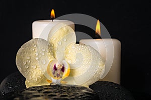 Beautiful spa set of yellow orchid (phalaenopsis), candles