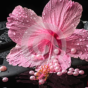 Beautiful spa setting of delicate pink hibiscus, zen stones