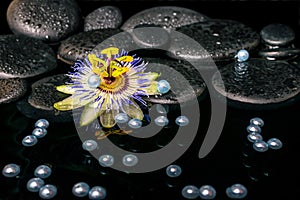 Beautiful spa setting of passiflora flower on zen basalt stones