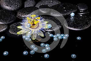 Beautiful spa setting of passiflora flower, zen stones with drop