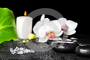 beautiful spa setting of sea salt, black zen stones, white orchid flower, phalaenopsis, green leaf with dew and candle, close up