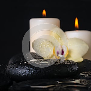 Beautiful spa setting of zen stones with drops closeup,