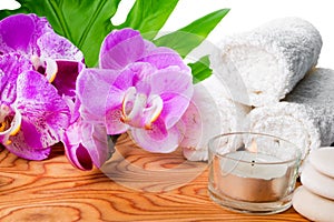 Beautiful spa still life with blooming lilac orchid, white stone